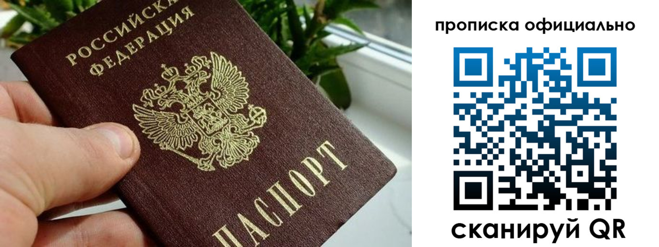 прописка поиск в Котовске